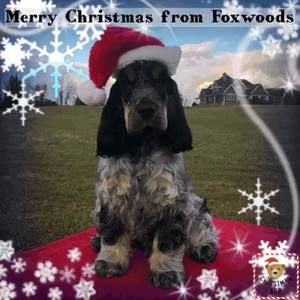 Meet your Posher, Kristin